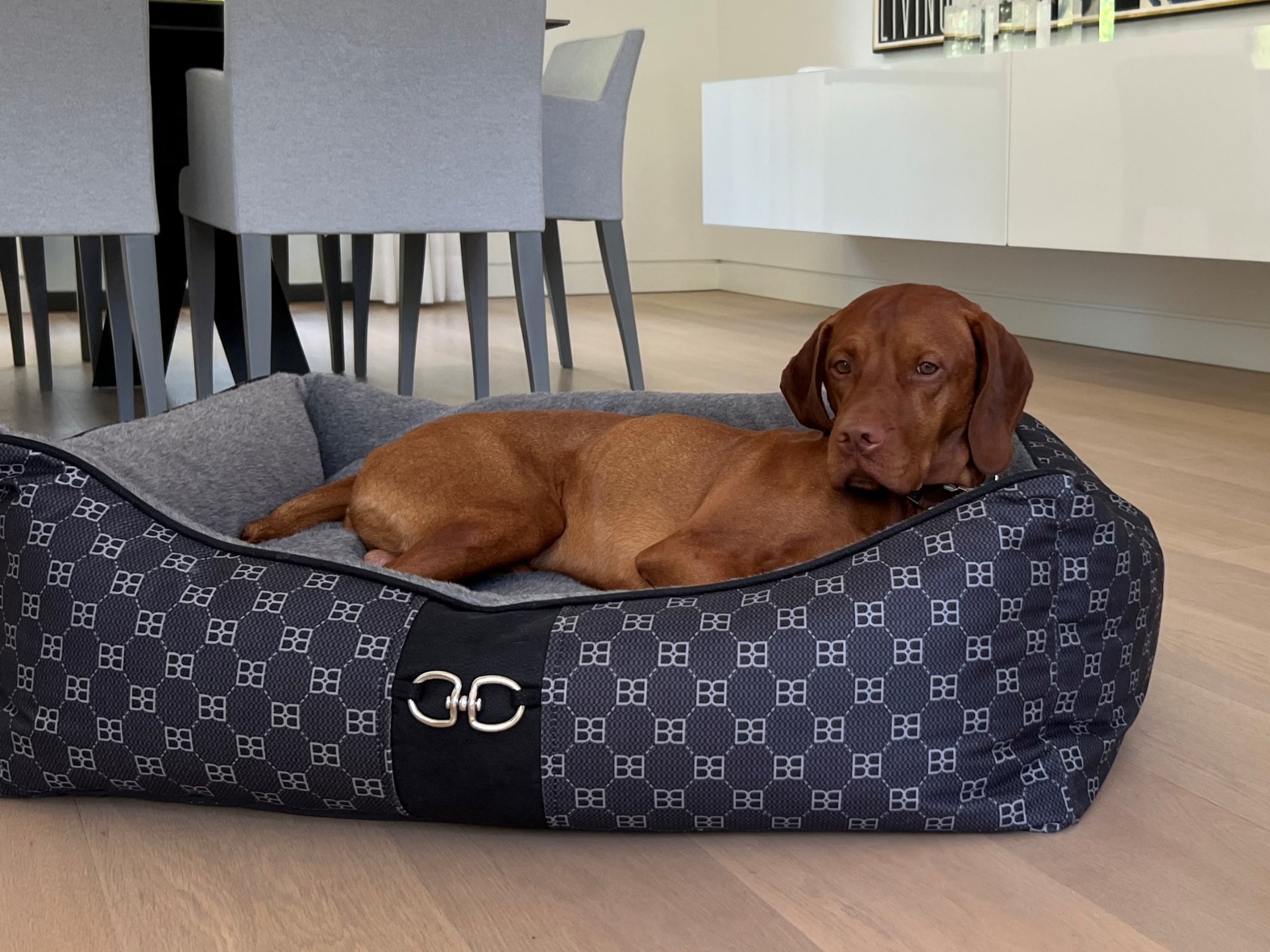 Signature Nior or Coco Scoop Dog Bed