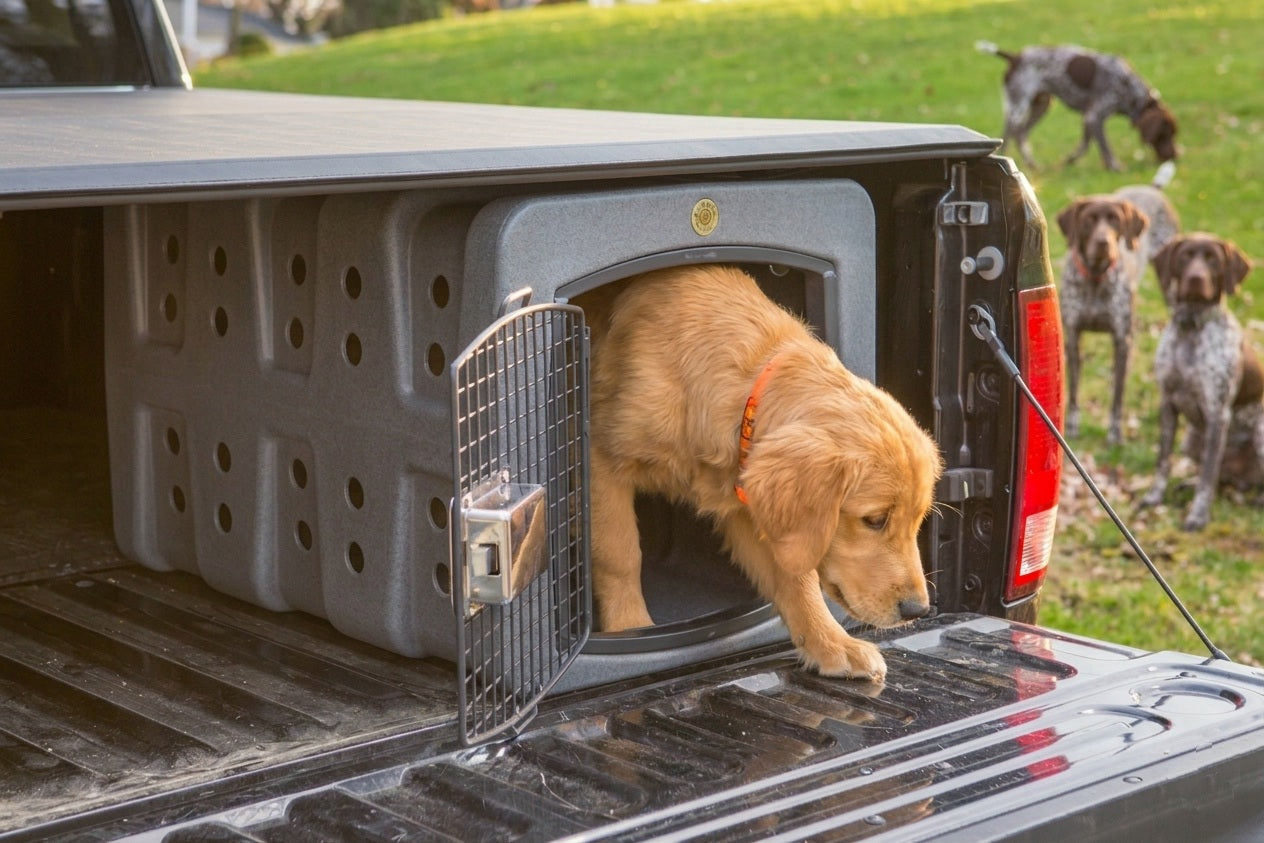 Low Clearance Dog Crate for SUVs | Impact‑Resistant Molded Travel Kennel