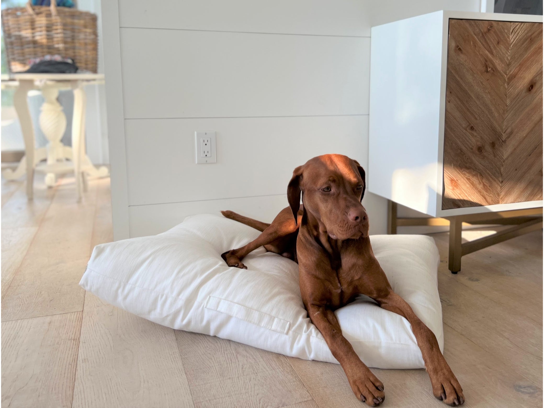 Avenue Luxury Dog Bed