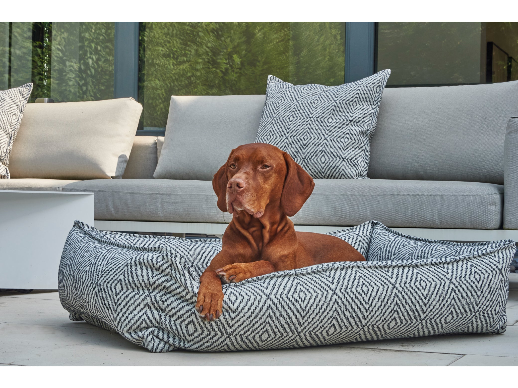 Urban Lounger, One‑Piece Dog Bed with Streamlined Design & Non‑Removable Cushion