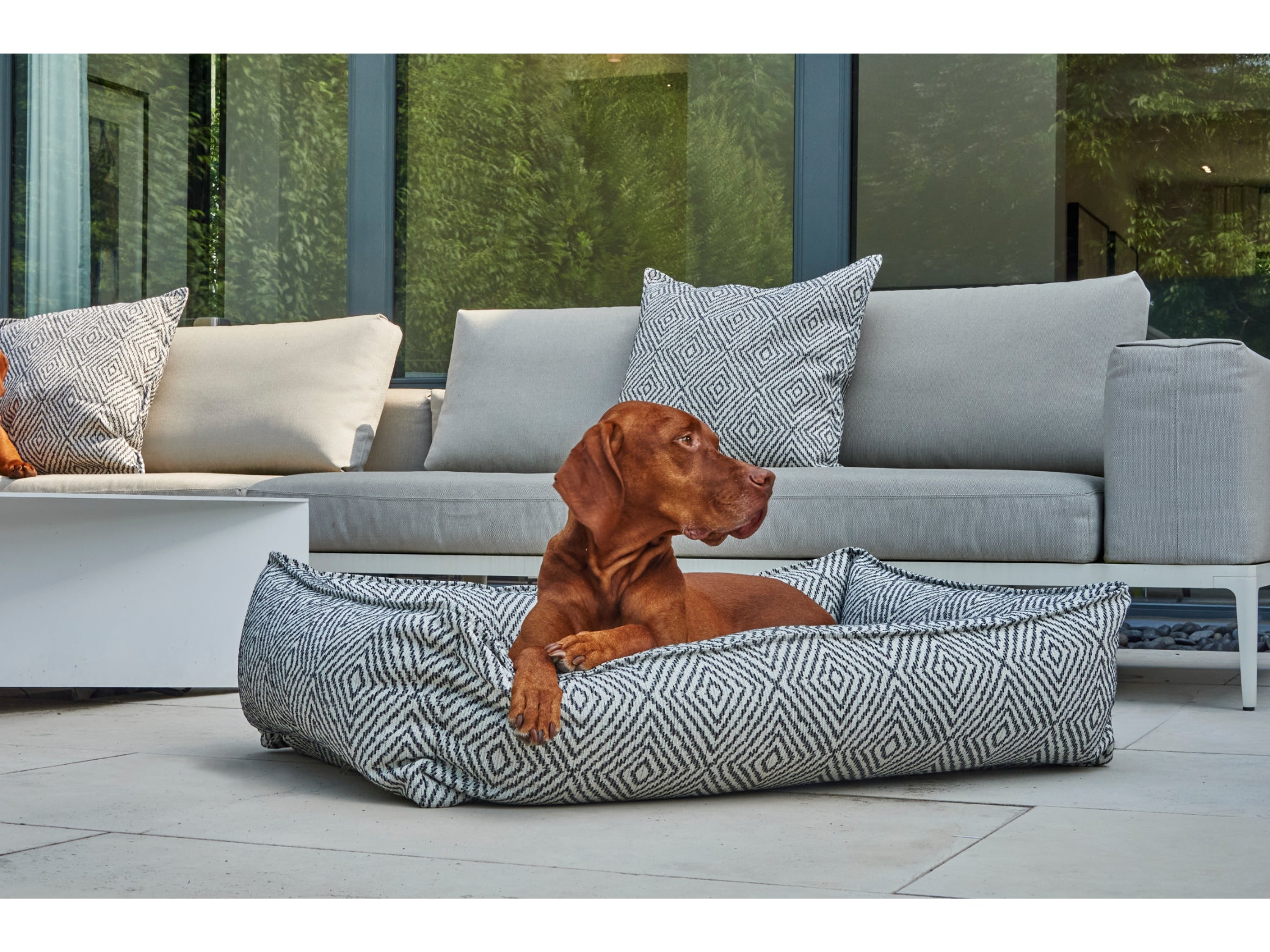 Urban Lounger, One‑Piece Dog Bed with Streamlined Design & Non‑Removable Cushion