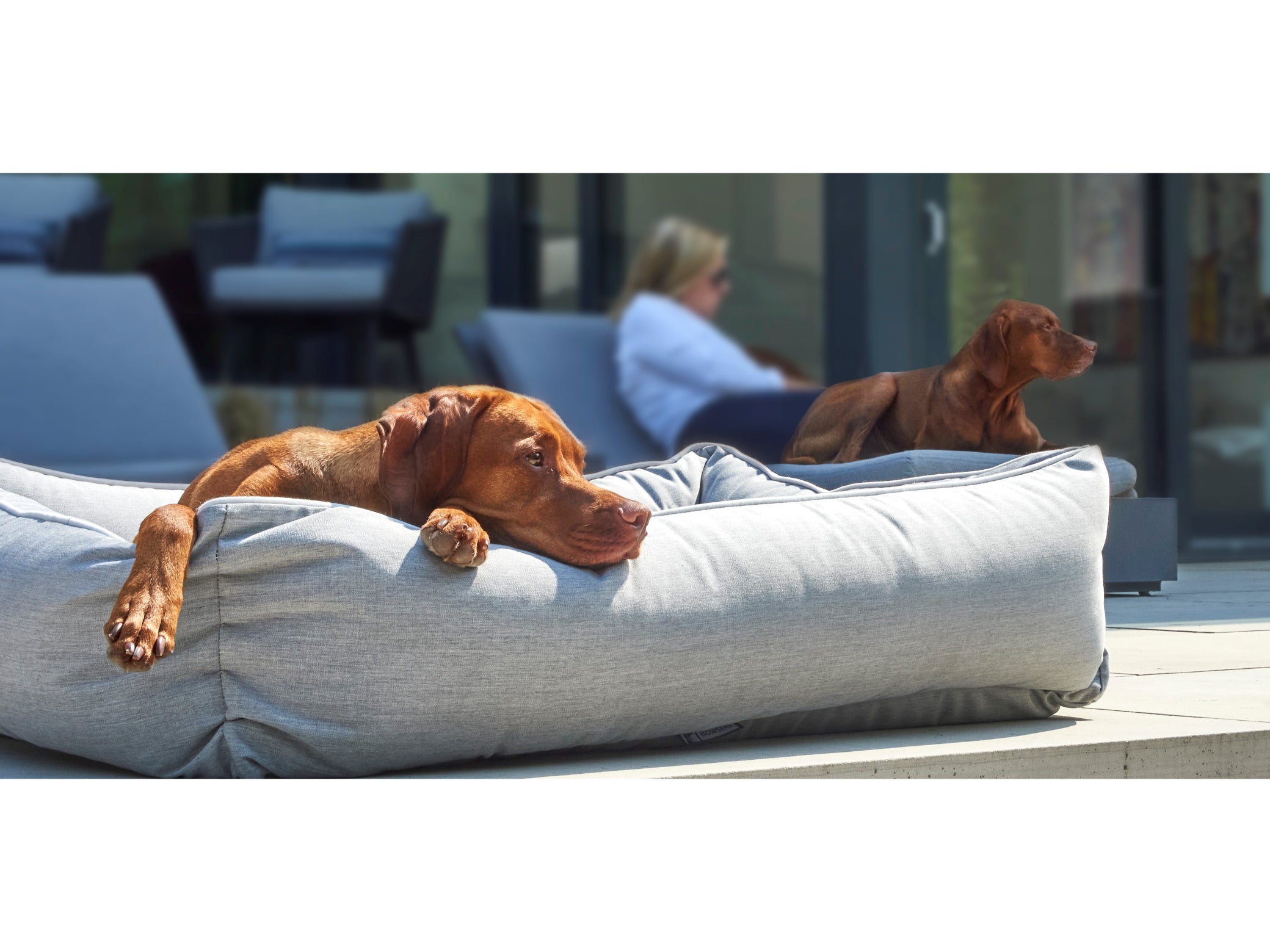 A light gray Bowsers pet products Franklin outdoor waterproof dog bed on a patio, with two brown dogs resting on it. A woman is seated in the blurred background near patio furniture.