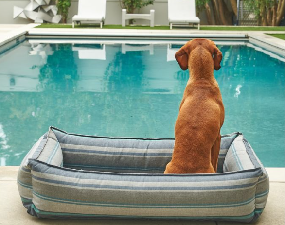 Urban Lounger — Poolside Collection