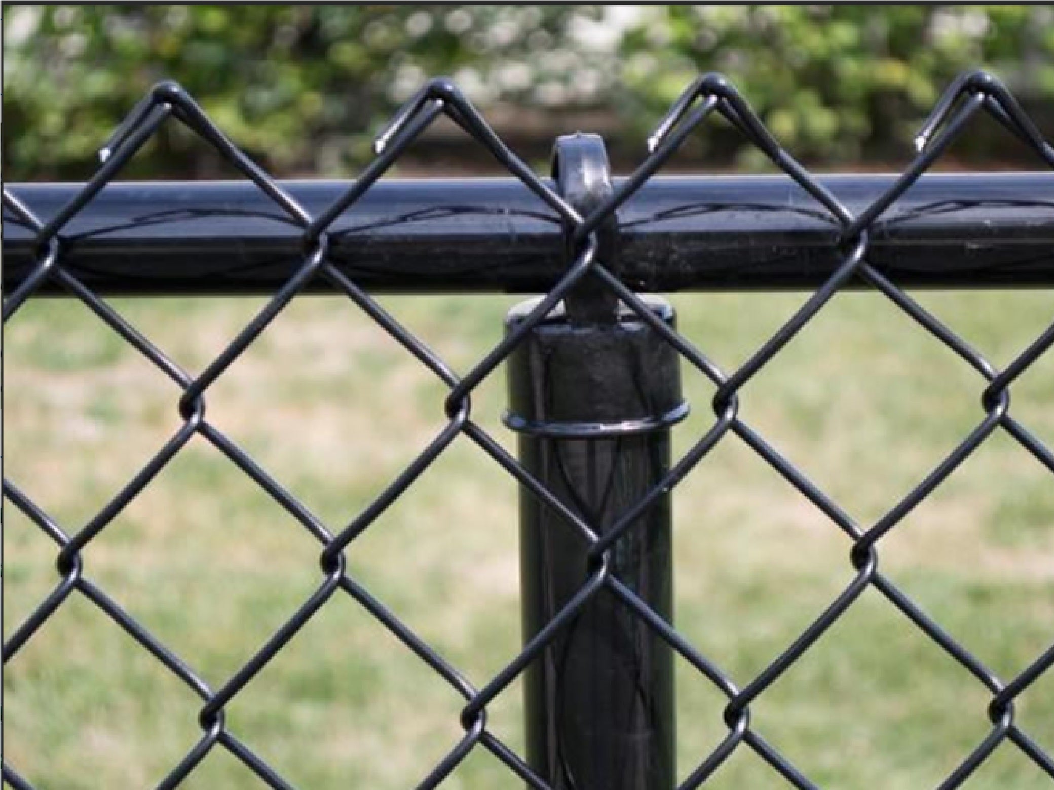Fencing Option