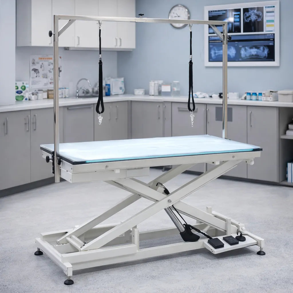 LED Lighted Electric Grooming Table with Glass Top for Dog Salons and Veterinary Clinics